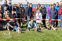 D_Foto Laudi_SO_Fruehlingsfest_Zeitlarn-201